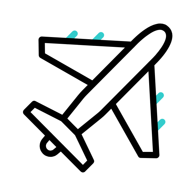 Avion Icon