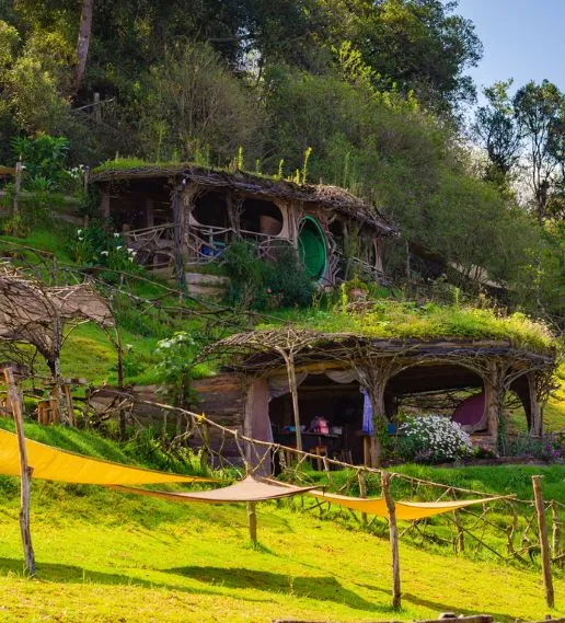 Tour Miradores Ecológicos